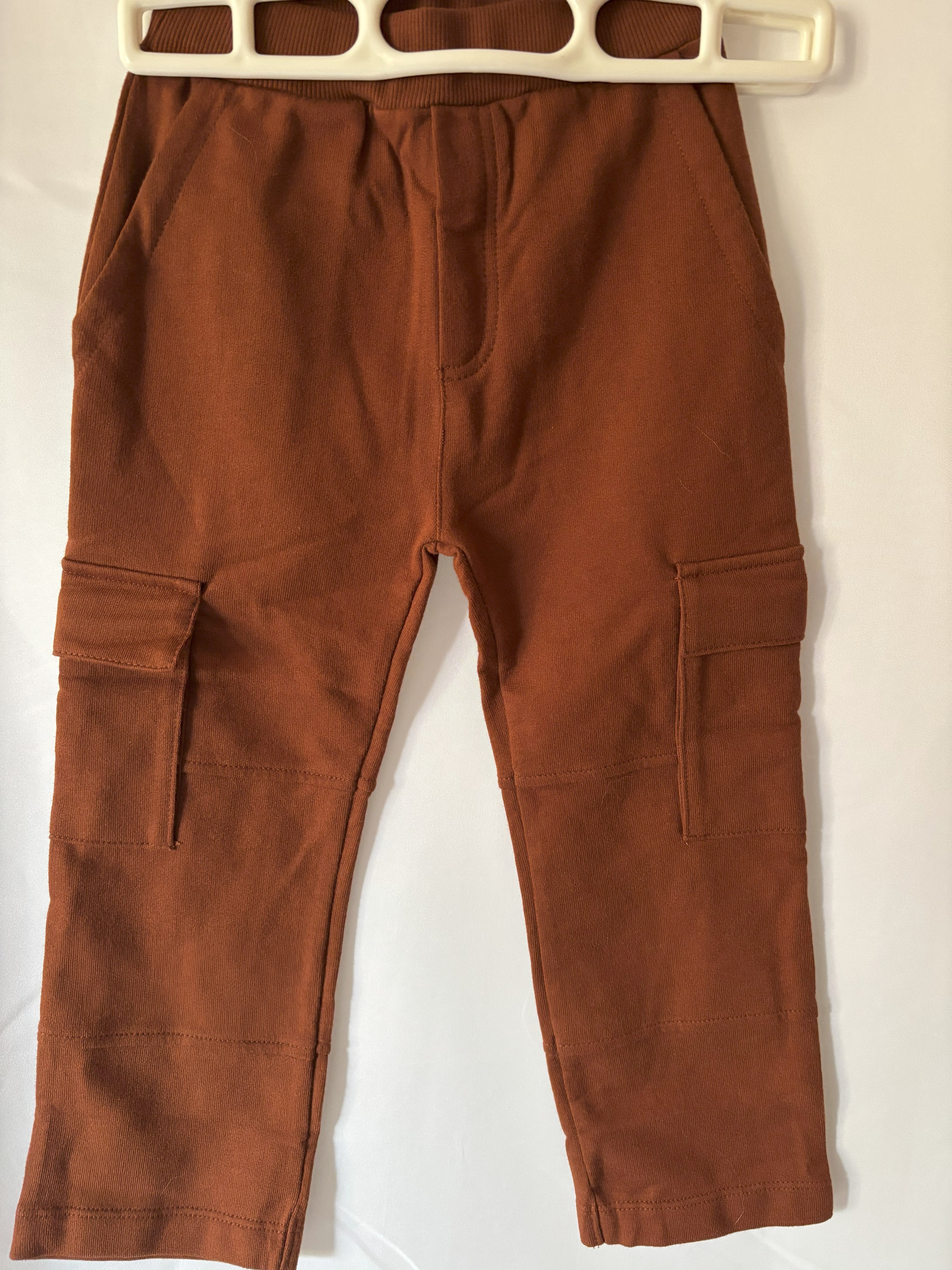 Fall Rust Cargo Pants full view